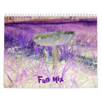 Fun Mix-Multi-Designs-Calendar