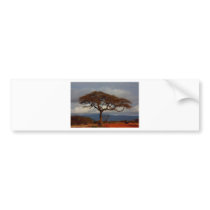 Fun Mod Chic Classy Destiny Personalize Bumper Sticker
