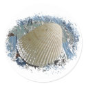 Fun Seashell Sticker by carrollgraphix Fun Seashell Sticker