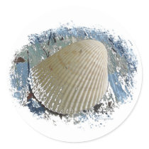 Fun Seashell Sticker