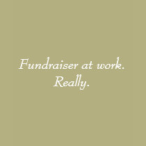 Fundraiser at work. Really. t-shirts