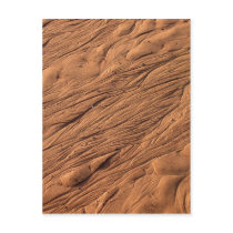 Fundy Mud Postcard