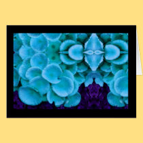 fungi4-card cards