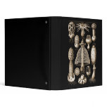 Fungi binders