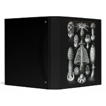 Fungi Vinyl Binder