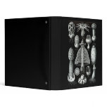 Fungi binders