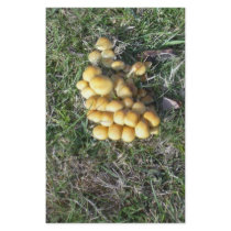 Fungi in the New Forest stationery