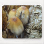 Fungi mousepad