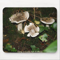 Fungi mousepads