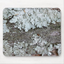 Fungi Mousepad mousepads