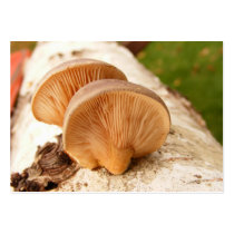 Fungi on birch ~ ATC business cards by Andy2302 Fungi on birch ~ ATC business cards