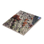 Fungi on redwood bark ceramic tiles