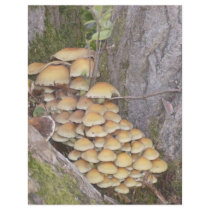 Fungi on tree letterhead