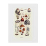 Fungi Postcard