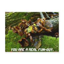 FUNGI resized, YOU ARE A REAL FUN-GUY. postcards
