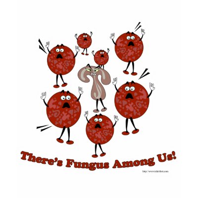 Fungus Among Us! Shirts by Anotherfort