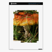 Fungus, Grungy Texture skins