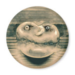 Fungus head refrigerator magnets
