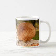 Fungus on birch ~ mug