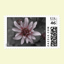 Funk postage