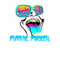 Funkie. Phresh. t-shirts