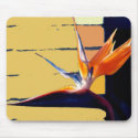 Funky Bird-of-Paradise Mousepad by MistyRosePhotography Funky Bird-of-Paradise Mousepad