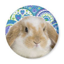 Funky Bunny Magnet