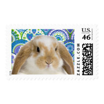 Funky Bunny Stamp