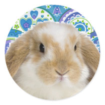 Funky Bunny Stickers