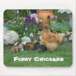 Funky Chickens