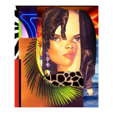 Funky Collage Poster Print 14