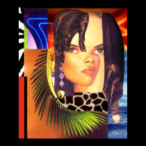 Funky Collage Poster Print 14" x 17" posters