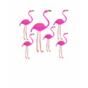 Funky Flamingos t-shirts