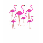 Funky Flamingos Tshirts