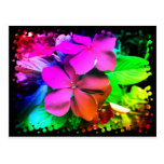 Funky Fun Flowers postcards