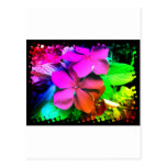 Funky Fun Flowers postcards
