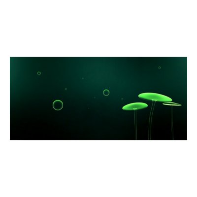 Funky Fungus Print by Griffinator