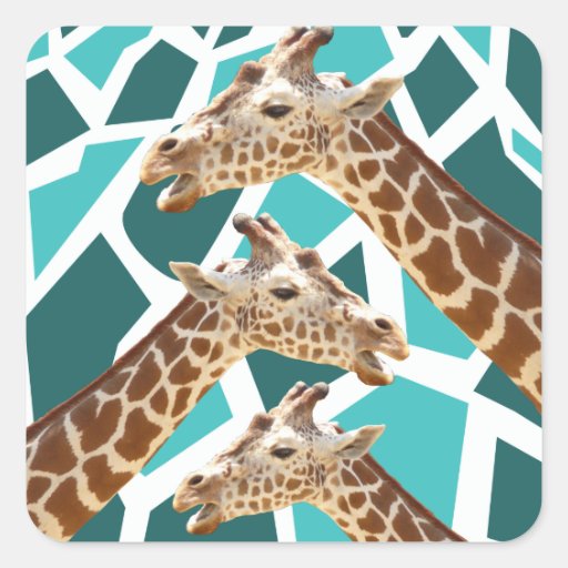 funky giraffe print teal blue animal pattern square sticker zazzle funky giraffe print teal blue animal pattern square sticker zazzle