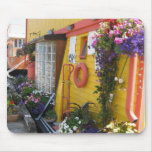 Funky house mousepad