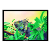 Iguana enrrollada posters by popartpet Iguana enrrollada posters
