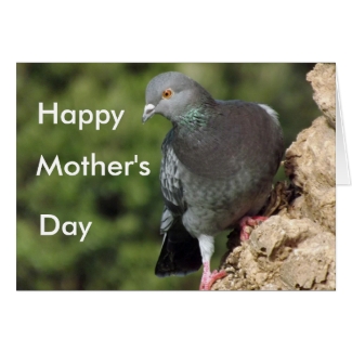 Funky Pigeon Mother's Day Cards