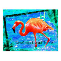Funky pink Florida flamingo travel postcard