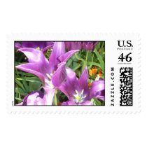 funky purple tulips postage