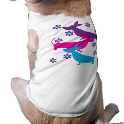 Basset Hound Clothing