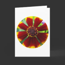 Funky round cards by stucker111 Funky round cards