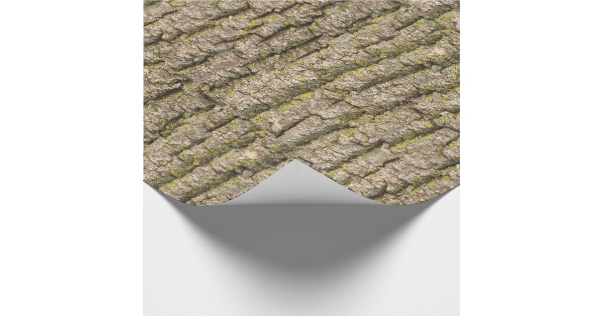Funky Tree Bark Wrapping Paper Zazzle
