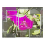 funkyflower2_pe.jpg post cards
