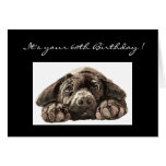 Funny 60th Birthday, Labrador Retriever Card