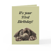 Funny 93rd Birthday Customize Labrador Retriever Card