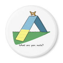 Funny A-Frame Corgi Agility Refrigerator Magnets